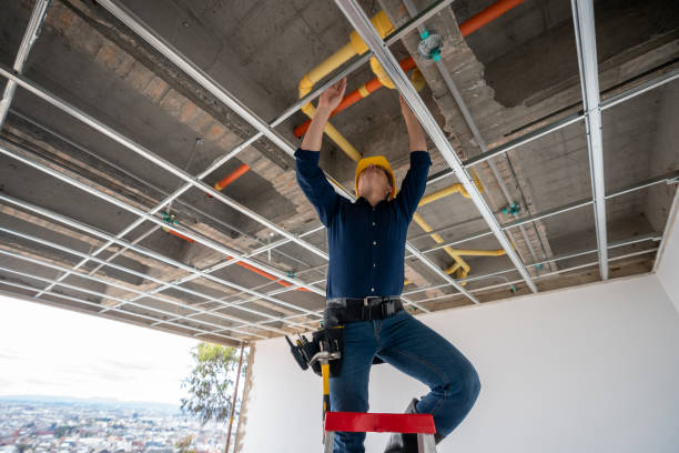 Best Plumbing Inspection Services  in Plentywood, MT